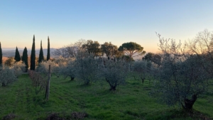urlaub toskana natur in der daemmerung