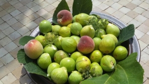 urlaub toskana obstschale