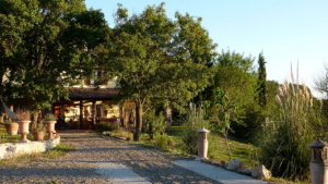 Villa Dondolini Zufahrt