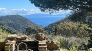 villa elba meerblick