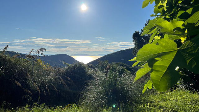villa elba porto azzurro meerblick