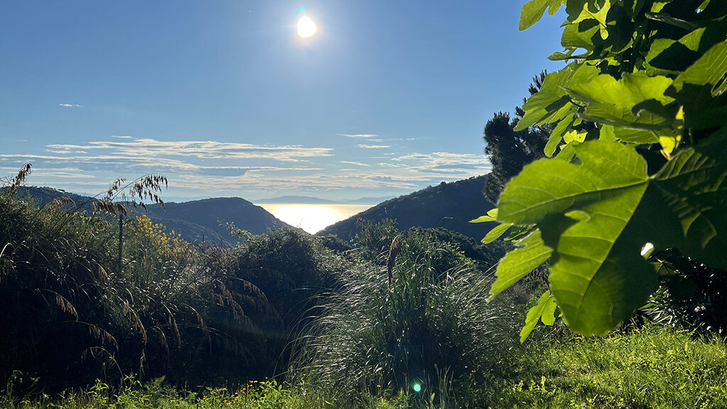 villa elba porto azzurro meerblick