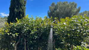 villa ilaria elba toskana aussendusche