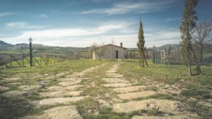 villa la fornace siena