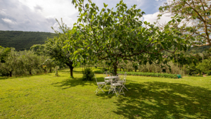 villa maria lena arezzo casentino sitzplatz