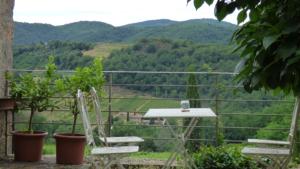 villa pietro chianti aussenbereich