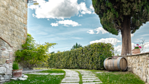 villa san gimignano toskana aussenbereich