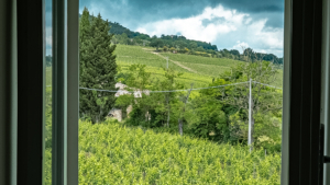 villa san gimignano toskana mit ausblick