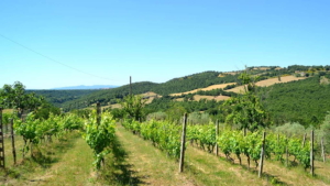 Villa Sorano Mit Pool