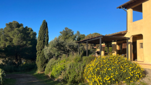 villa toskana elba meerlage