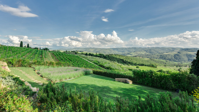 weinberge la valletta chianti