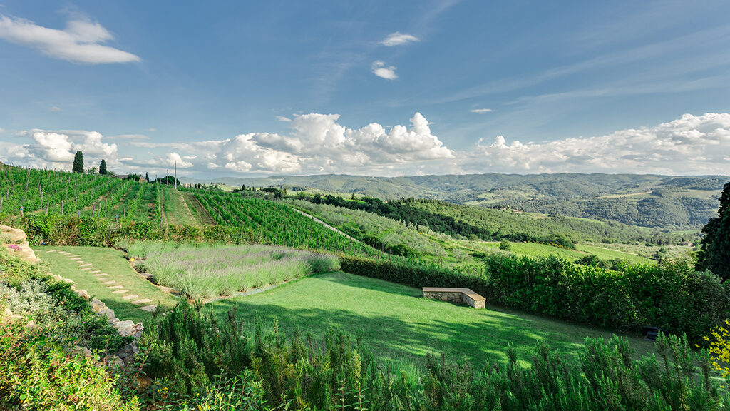 weinberge la valletta chianti
