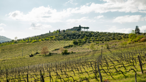 weingut bei florenz